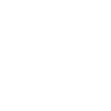Telefon Icon